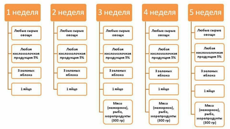 Схематичный план питания на диете Протасова