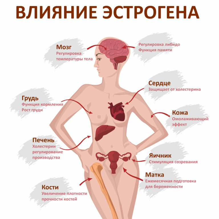 Самая важная роль в организме каждой женщины отведена гормонам, которые контролируют репродуктивную и лактационную функции. Гормональный баланс сохраняет женскую молодость, обеспечивает хорошее состояние кожи, не допуская образования преждевременных морщин.  Вред быстрого похудения отражается как на внешности, так и на здоровье:  - кожа теряет эластичность и мягкость; - происходит сбой в менструальном цикле; - возрастает риск заработать бесплодие.