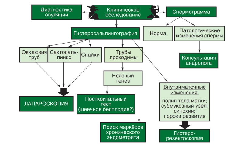 План обследования бесплодной пары