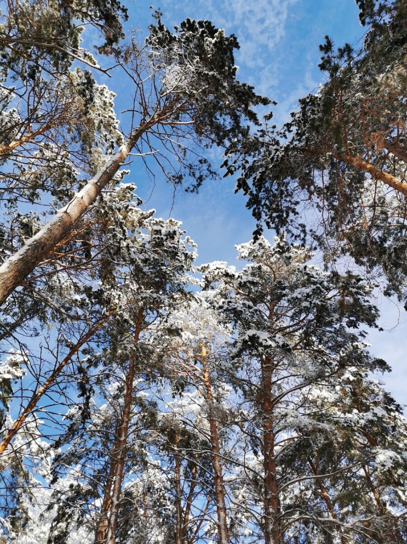 Новосибирск