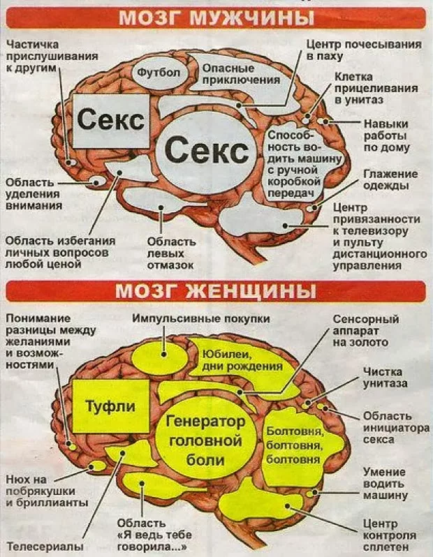 Изображение из открытых источников