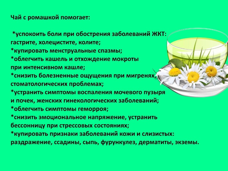 Полезные свойства ромашки