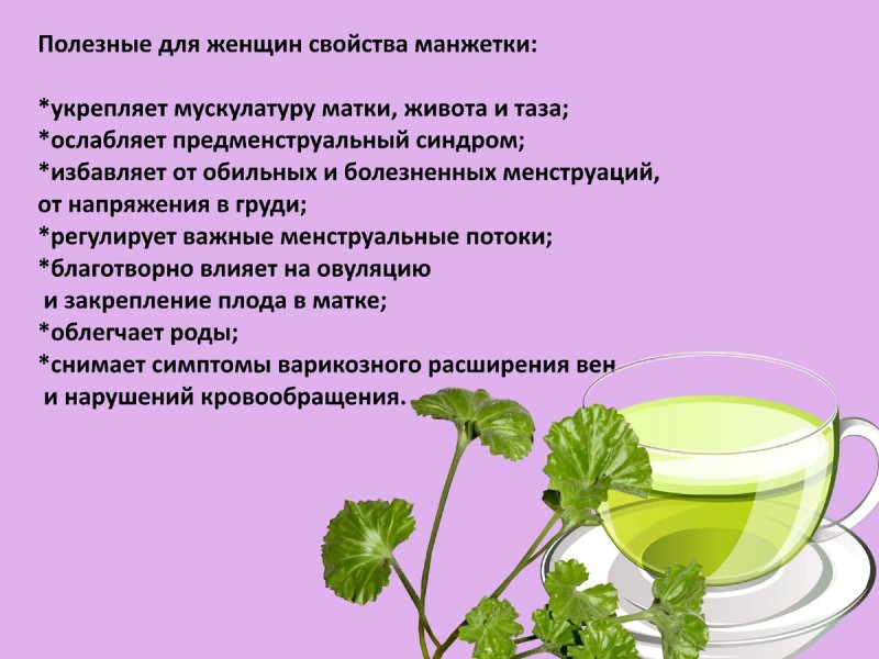 Полезные свойства манжетки