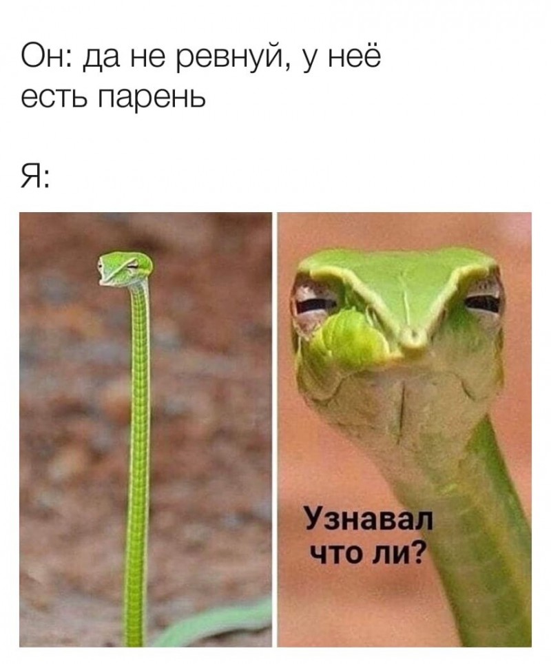 Женский юмор. Смеялась целый день 15 фото
