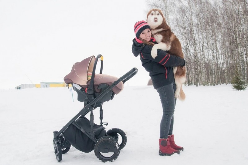 Женщина хотела усыпить щенка из-за глистов, но я его спасла. Как я помогаю отказным хаски