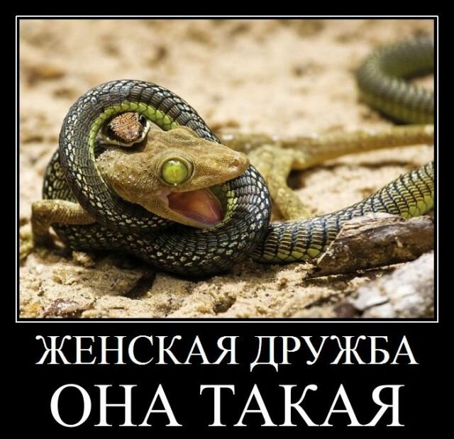 Яндекс картинки