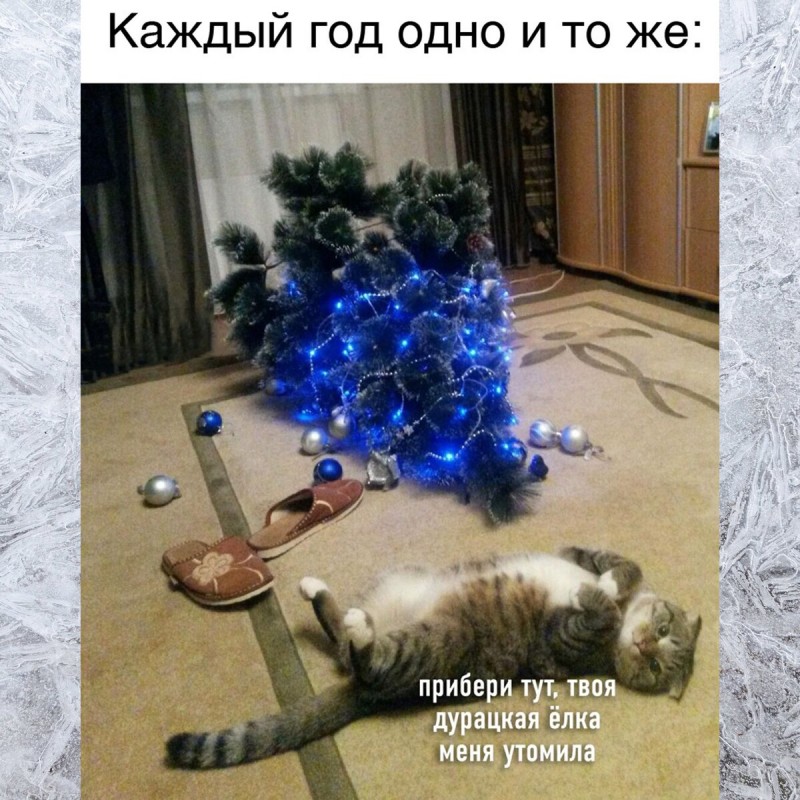 15 Угарных женских мемов. Смеялась пол часа. Выпуск 1
