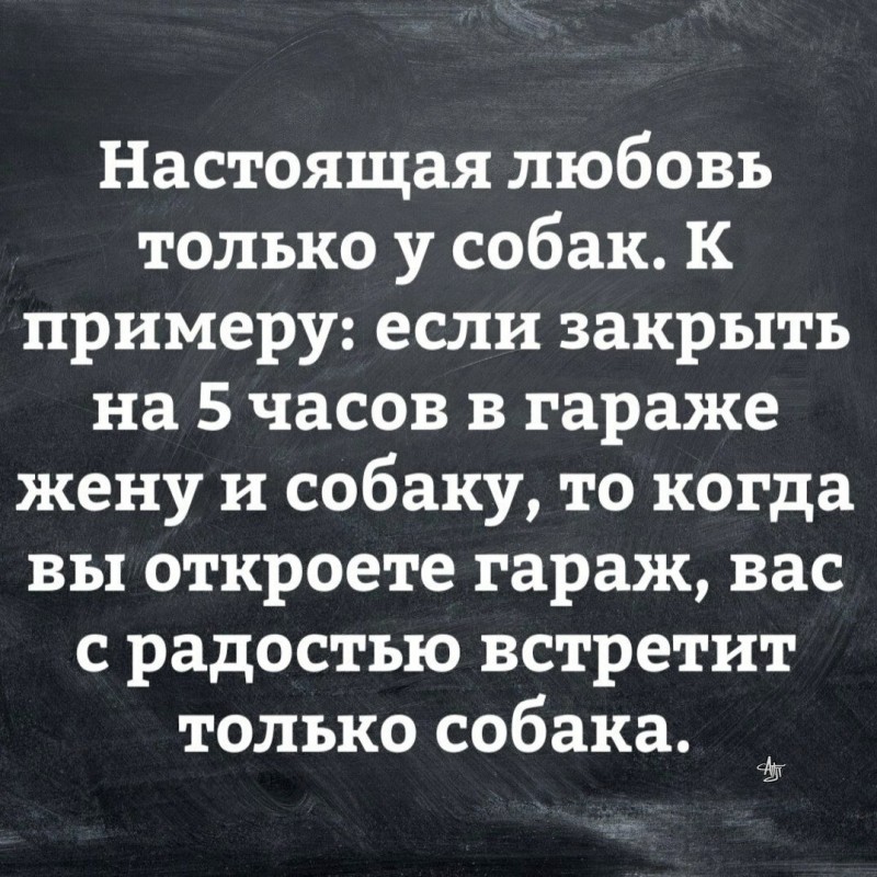 Мужчины + Женщины = 🤣✨🎉