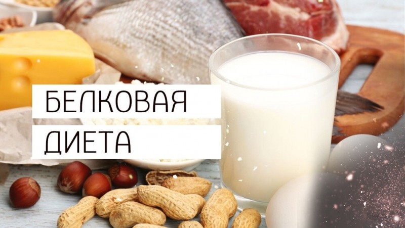 Белковая диета приходится по душе тем кто хочет похудеть