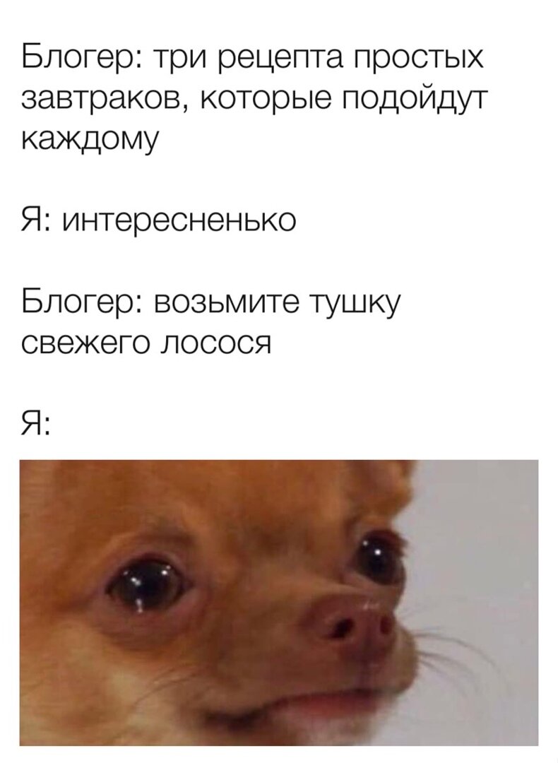 Женский юмор. Смеялась целый день 15 фото