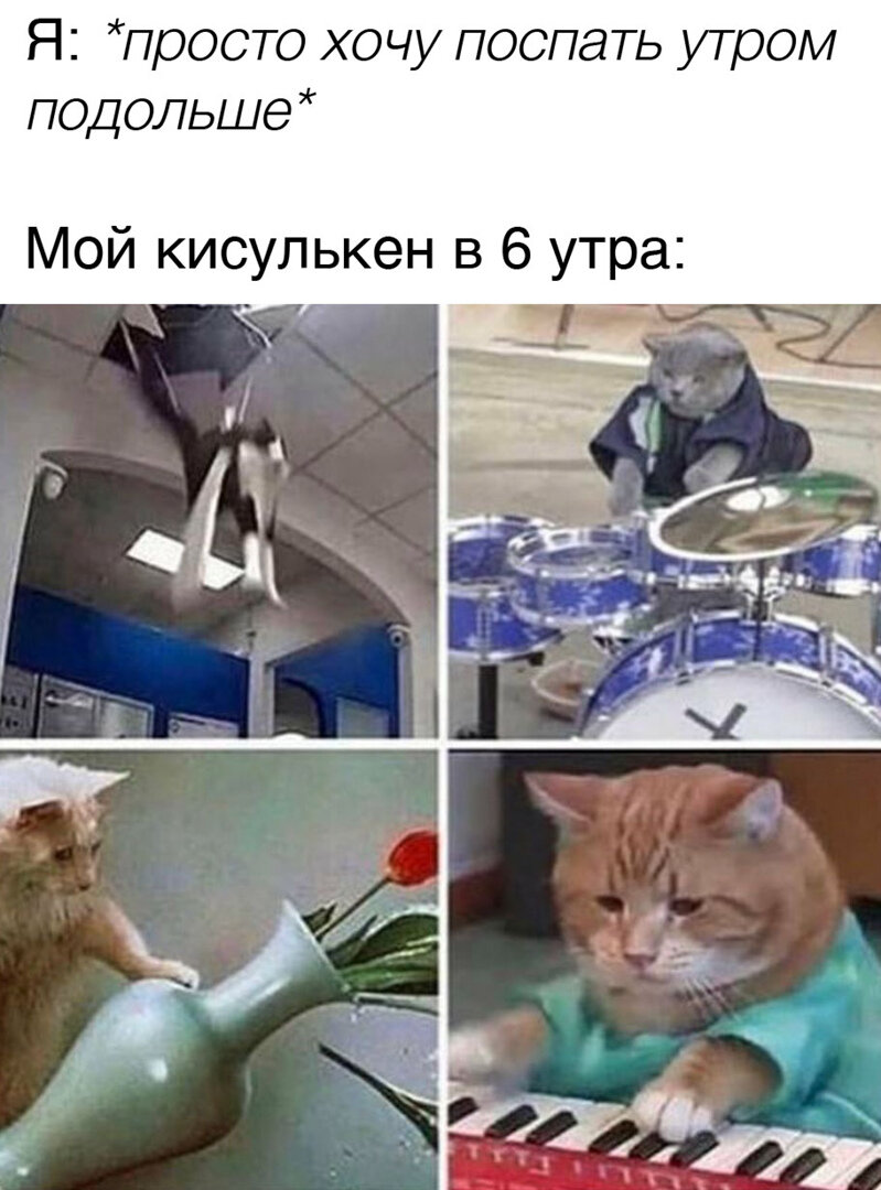 Женский юмор. Смеялась целый день 15 фото
