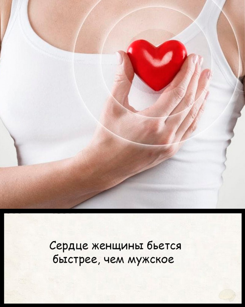 10 Фактов про женщин.