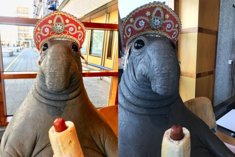 Яндекс картинки