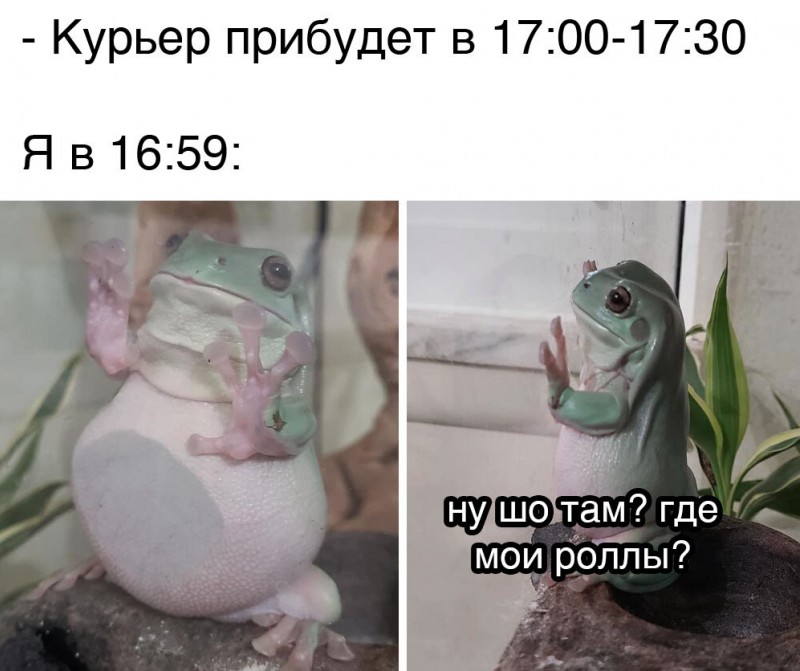 Женский юмор. Смеялась целый день 15 фото