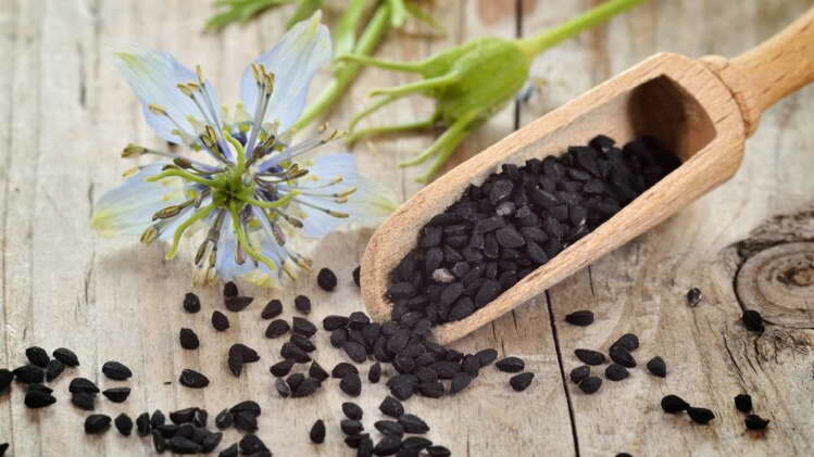Нигелла посевная Nigella sativa