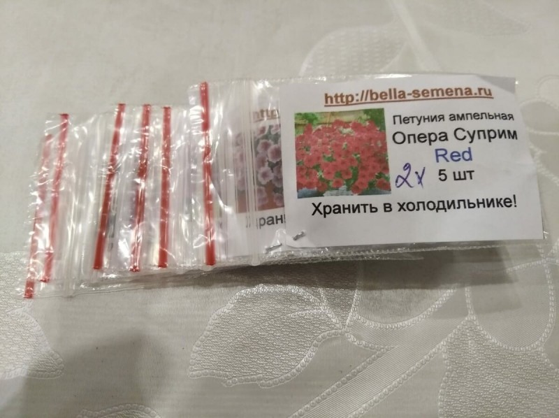 Красота на всё лето, петуния королева сада.