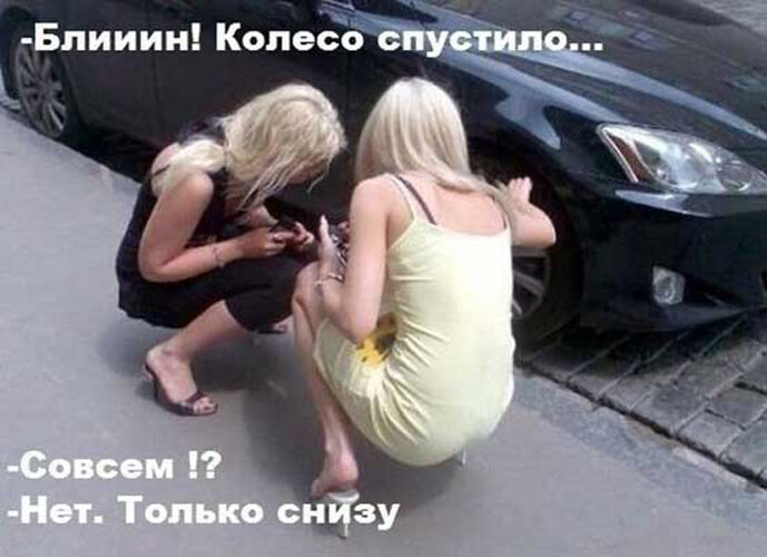 Смешные картинки про женщин))