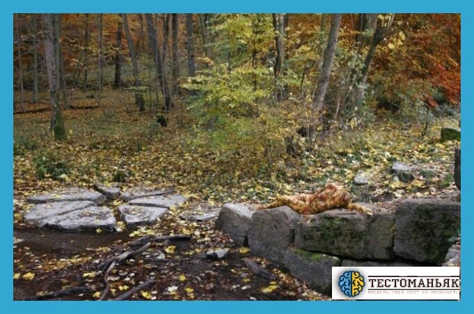 Источник: Яндекс Картинки