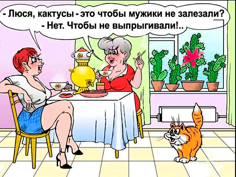 Анекдоты про женщин. Часть 2