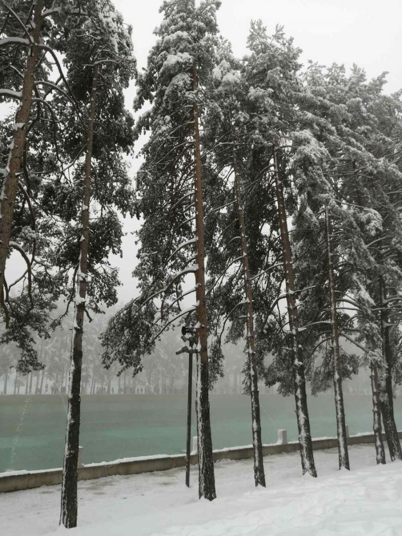 Оно же зимним днем