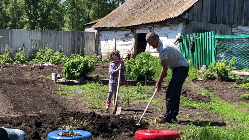 Красота и ужасы жизни на селе, в деревне