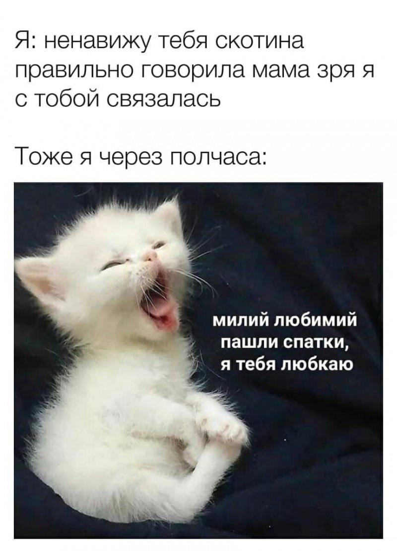 ЖЕНСКИЕ МЕМЫ и ДЕМОТИВАТОРЫ | ЛУЧШАЯ ПОДБОРКА НА ВЕЧЕР