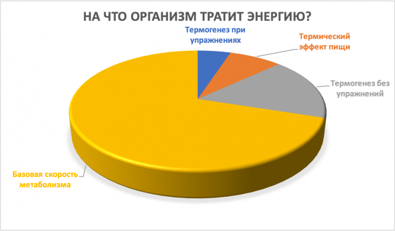 90% похудевших не могут сохранить результаты. Почему?