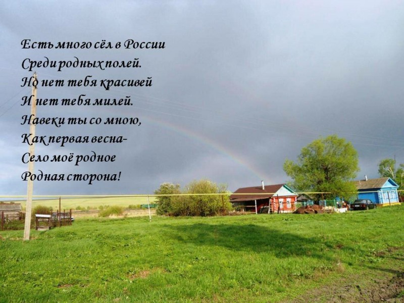 Красота и ужасы жизни на селе, в деревне