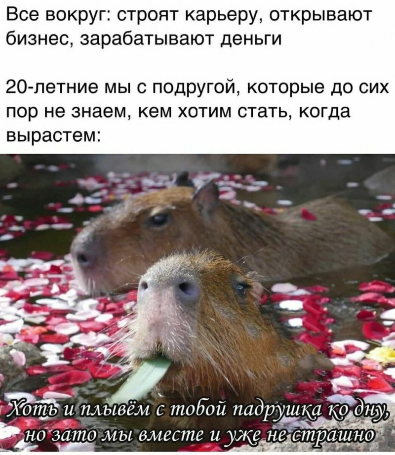 ЖЕНСКИЕ МЕМЫ и ДЕМОТИВАТОРЫ | ЛУЧШАЯ ПОДБОРКА НА ВЕЧЕР