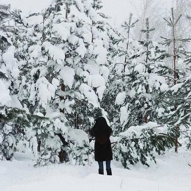 Жизнь женщины, наслаждающей медленной жизнью в маленьком городе.