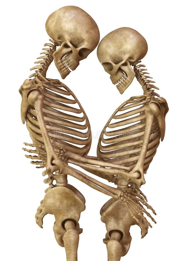 Чем отличается мужской скелет от женского?