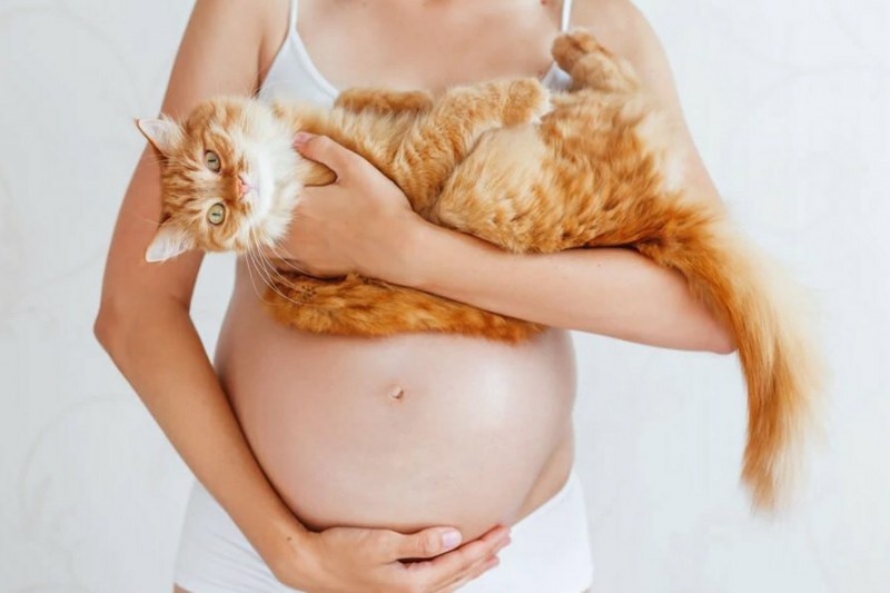 Кошки и собаки по-разному влияют на психологическое состояние беременных женщин